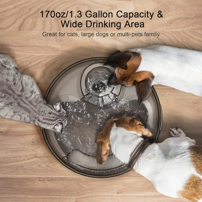 NPET DF10 Automatic Pet Water Fountain – 5L for Cats & Dogs