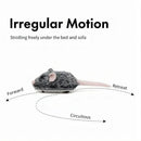 Rechargeable Interactive Mouse Toy – Moving & Sound Cat Toy ✅